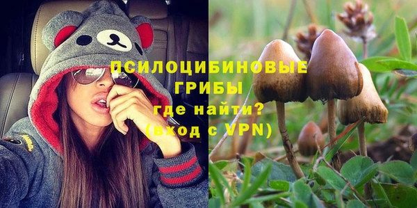 молекула духа Алексин