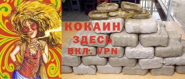 молекула духа Алексин