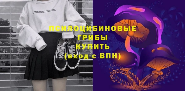 молекула духа Алексин