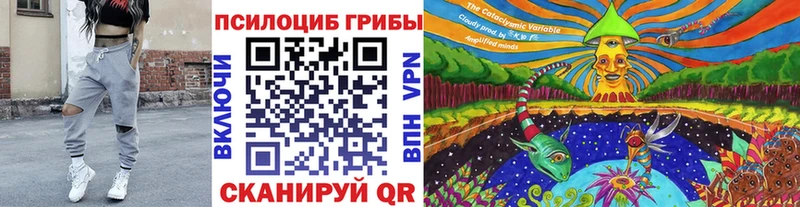 kraken ТОР  Апрелевка  Псилоцибиновые грибы мицелий 
